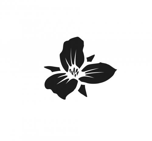 Trillium Brewing Company logo