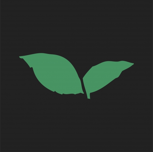 High Branch Brewing Co. logo