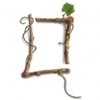 Quantum Leap Winery logo