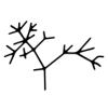 Speciation Artisan Ales logo