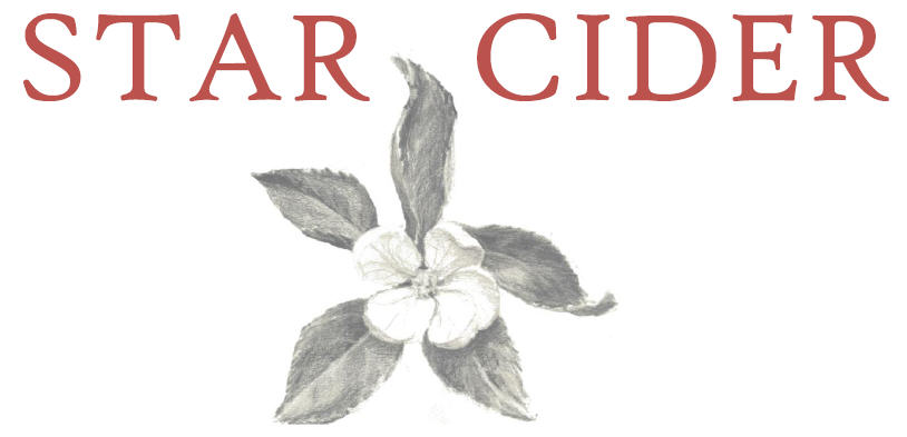 Star Cider logo