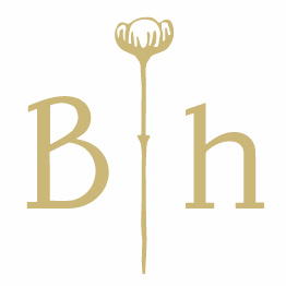 Brewery Bhavana logo