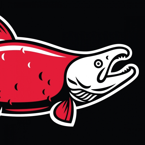 Sockeye Brewing logo