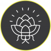 Hopfly Brewing Co. logo