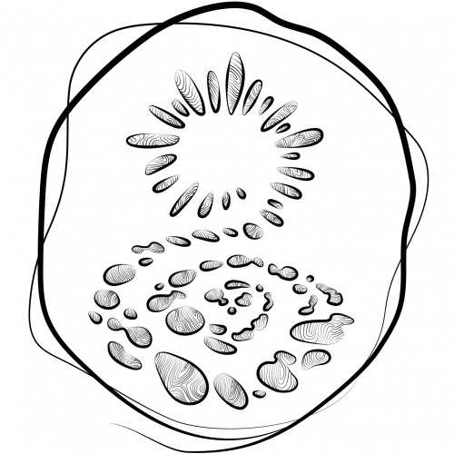 Garden Path Fermentation logo