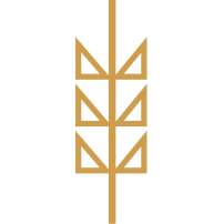 HopMonk logo