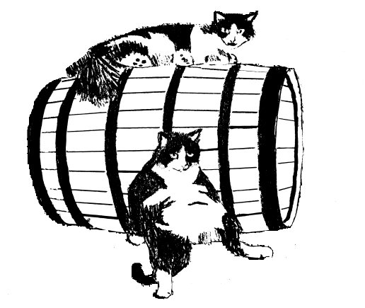 Harry Stuff Brewing Company logo