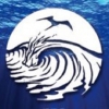 Saltwater Brewery logo