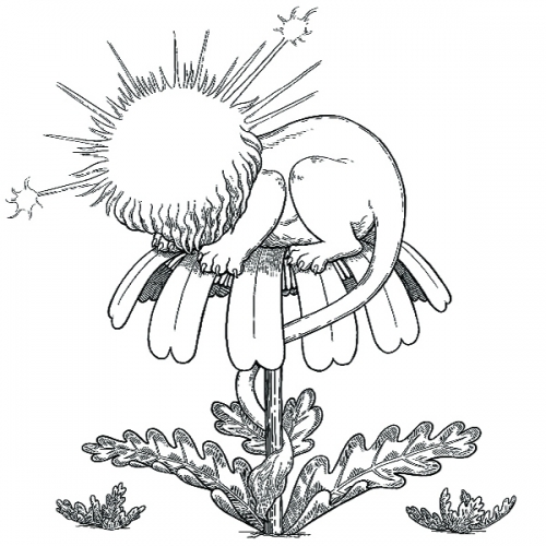 Succession Fermentory logo