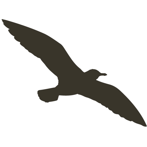 Golden Isles Brewing Co. logo